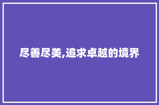尽善尽美,追求卓越的境界 写作素材