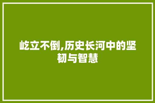 屹立不倒,历史长河中的坚韧与智慧