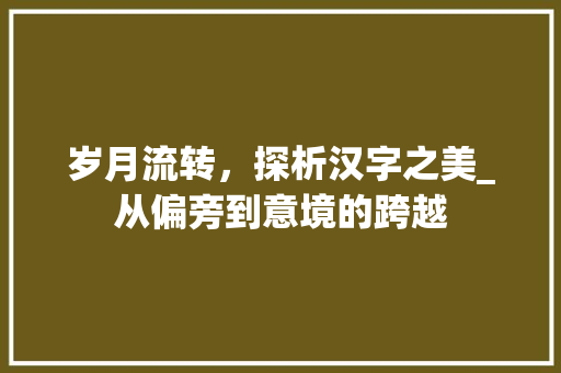 岁月流转，探析汉字之美_从偏旁到意境的跨越