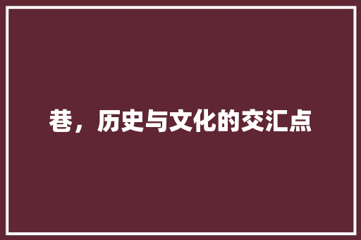 巷，历史与文化的交汇点