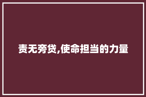 责无旁贷,使命担当的力量