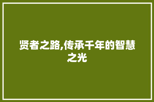 贤者之路,传承千年的智慧之光