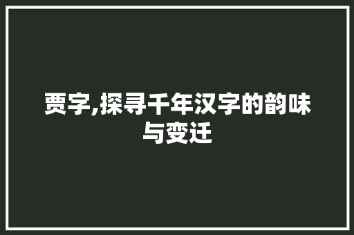 贾字,探寻千年汉字的韵味与变迁