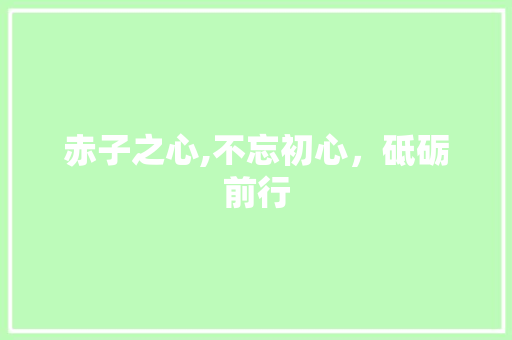 赤子之心,不忘初心，砥砺前行