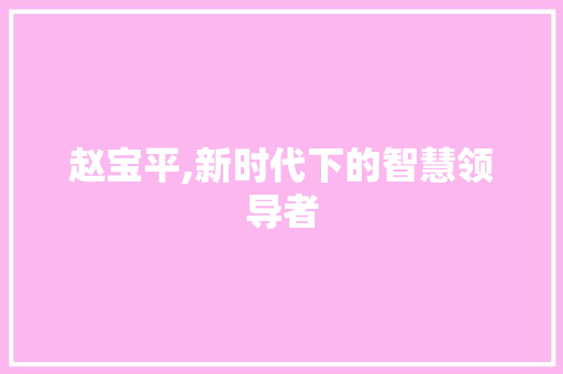 赵宝平,新时代下的智慧领导者