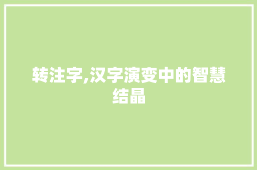 转注字,汉字演变中的智慧结晶