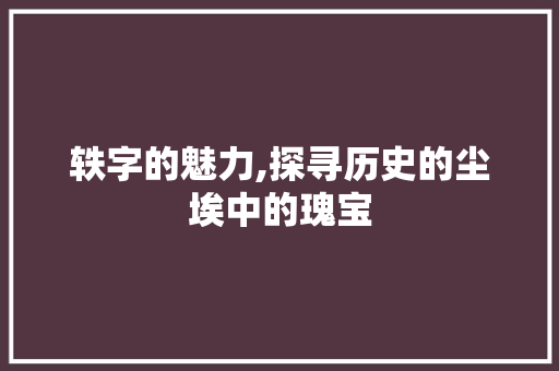 轶字的魅力,探寻历史的尘埃中的瑰宝 报告写作