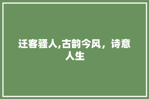 迁客骚人,古韵今风，诗意人生 范文赏析