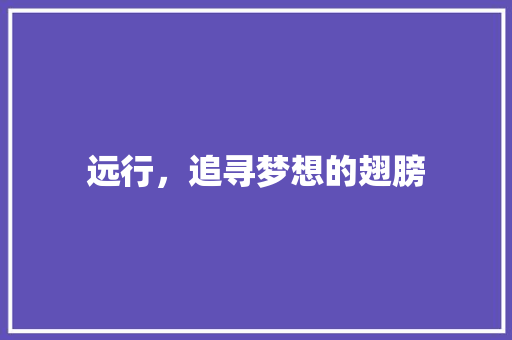 远行，追寻梦想的翅膀