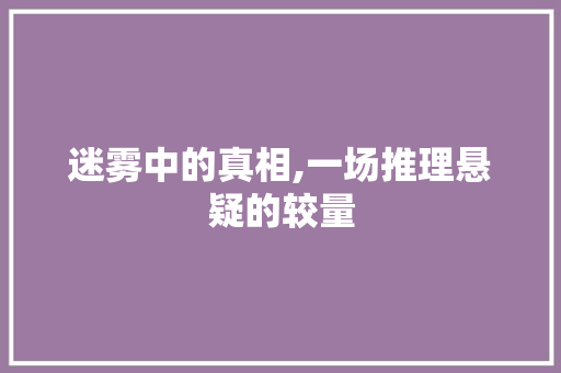 迷雾中的真相,一场推理悬疑的较量 报告写作