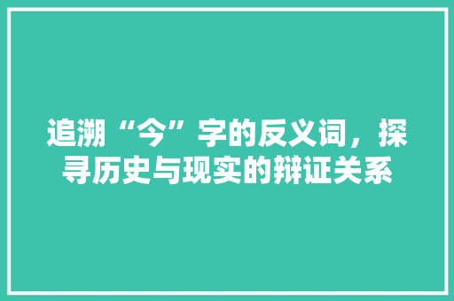 追溯“今”字的反义词，探寻历史与现实的辩证关系