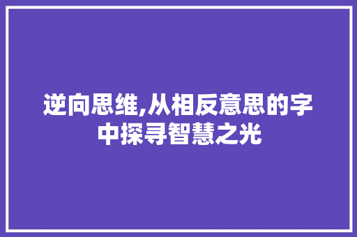 逆向思维,从相反意思的字中探寻智慧之光 词汇积累