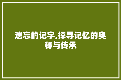 遗忘的记字,探寻记忆的奥秘与传承