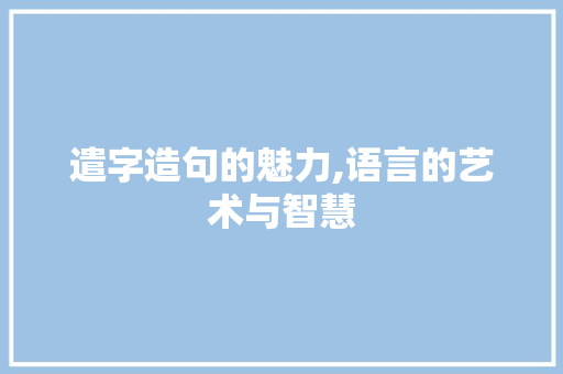 遣字造句的魅力,语言的艺术与智慧 词汇积累
