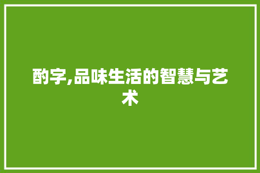 酌字,品味生活的智慧与艺术 写作技巧