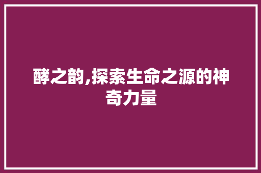 酵之韵,探索生命之源的神奇力量 范文赏析