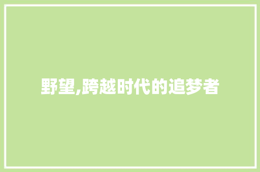 野望,跨越时代的追梦者