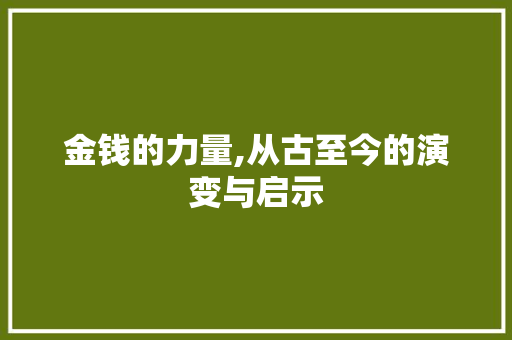金钱的力量,从古至今的演变与启示