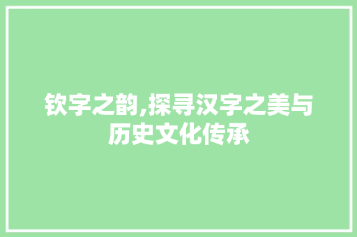 钦字之韵,探寻汉字之美与历史文化传承 报告写作