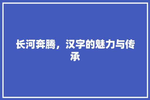 长河奔腾，汉字的魅力与传承 写作素材