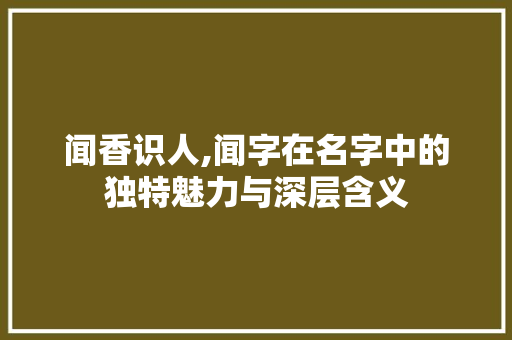 闻香识人,闻字在名字中的独特魅力与深层含义 词汇积累