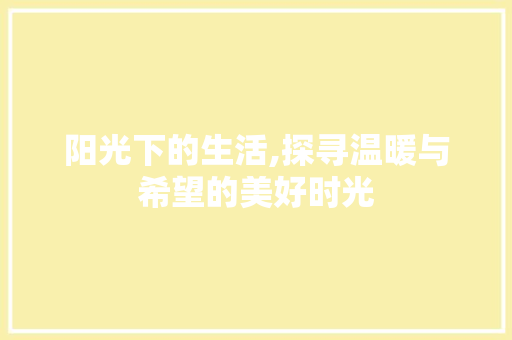 阳光下的生活,探寻温暖与希望的美好时光 简历模板