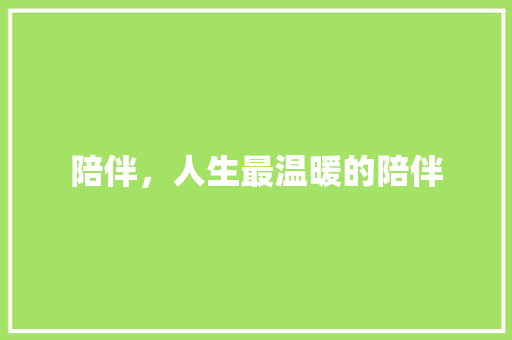 陪伴，人生最温暖的陪伴