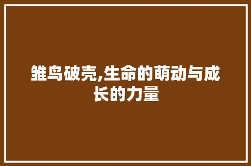 雏鸟破壳,生命的萌动与成长的力量