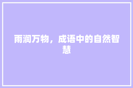 雨润万物，成语中的自然智慧 写作素材