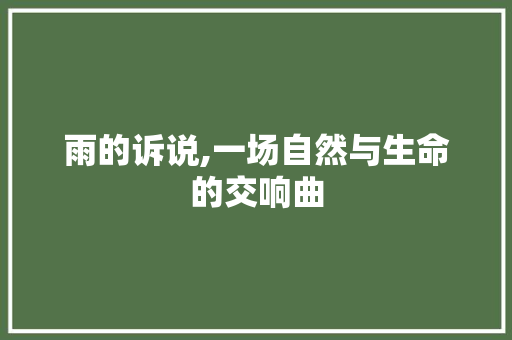 雨的诉说,一场自然与生命的交响曲