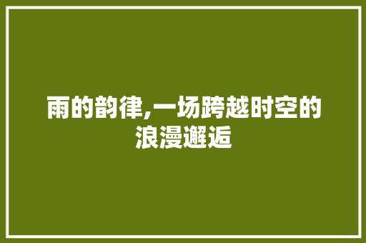 雨的韵律,一场跨越时空的浪漫邂逅 写作社区