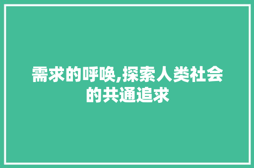 需求的呼唤,探索人类社会的共通追求