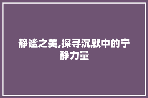 静谧之美,探寻沉默中的宁静力量