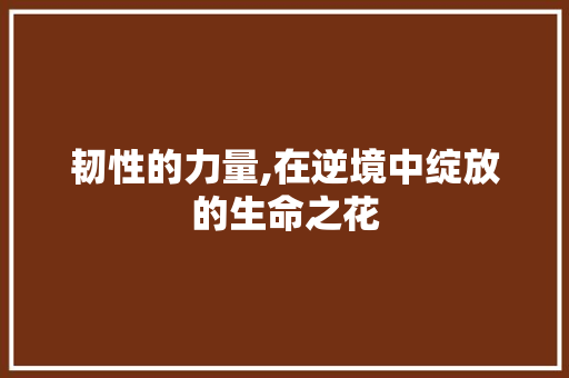 韧性的力量,在逆境中绽放的生命之花