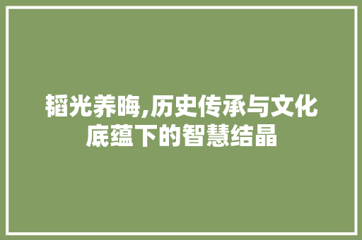 韬光养晦,历史传承与文化底蕴下的智慧结晶