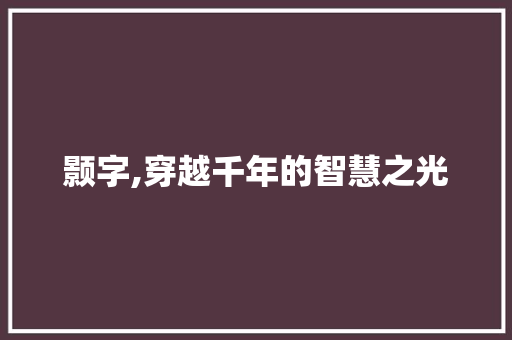 颢字,穿越千年的智慧之光