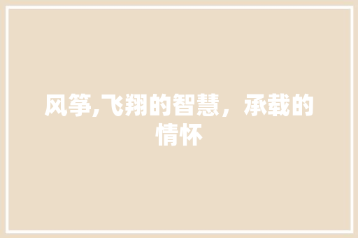 风筝,飞翔的智慧，承载的情怀