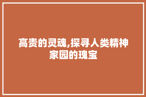 高贵的灵魂,探寻人类精神家园的瑰宝