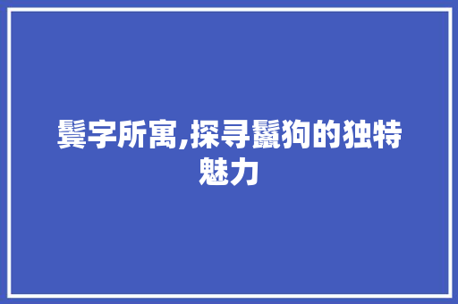 鬓字所寓,探寻鬣狗的独特魅力