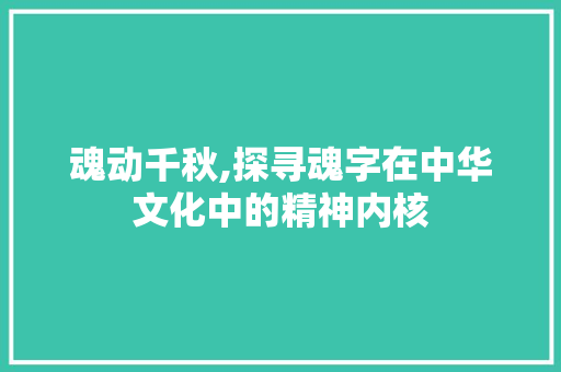 魂动千秋,探寻魂字在中华文化中的精神内核