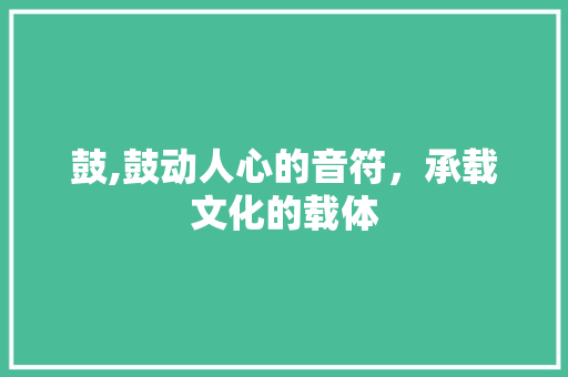 鼓,鼓动人心的音符，承载文化的载体