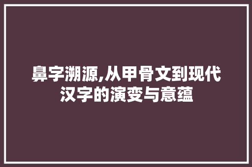 鼻字溯源,从甲骨文到现代汉字的演变与意蕴