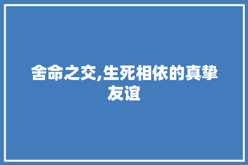 舍命之交,生死相依的真挚友谊