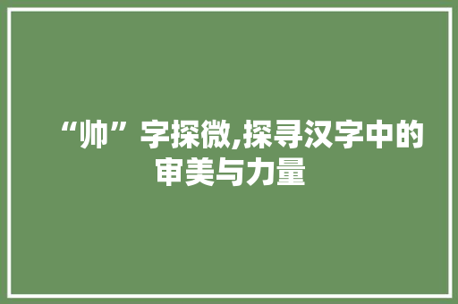 “帅”字探微,探寻汉字中的审美与力量
