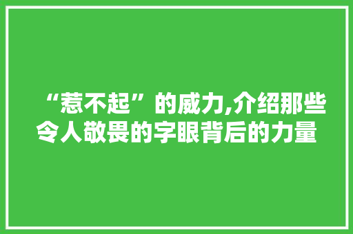“惹不起”的威力,介绍那些令人敬畏的字眼背后的力量