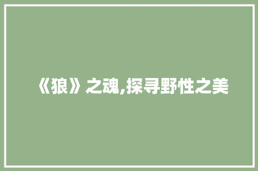 《狼》之魂,探寻野性之美