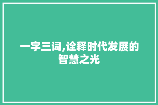 一字三词,诠释时代发展的智慧之光 范文赏析