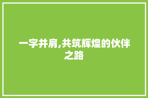 一字并肩,共筑辉煌的伙伴之路