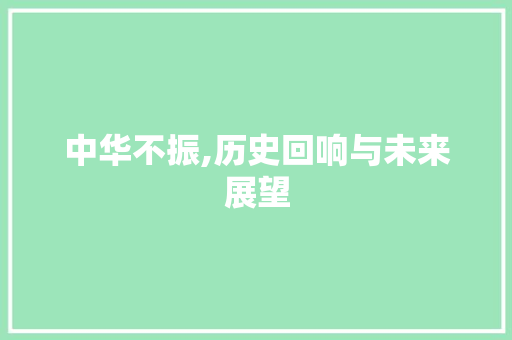 中华不振,历史回响与未来展望