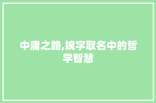 中庸之路,婉字取名中的哲学智慧 报告写作